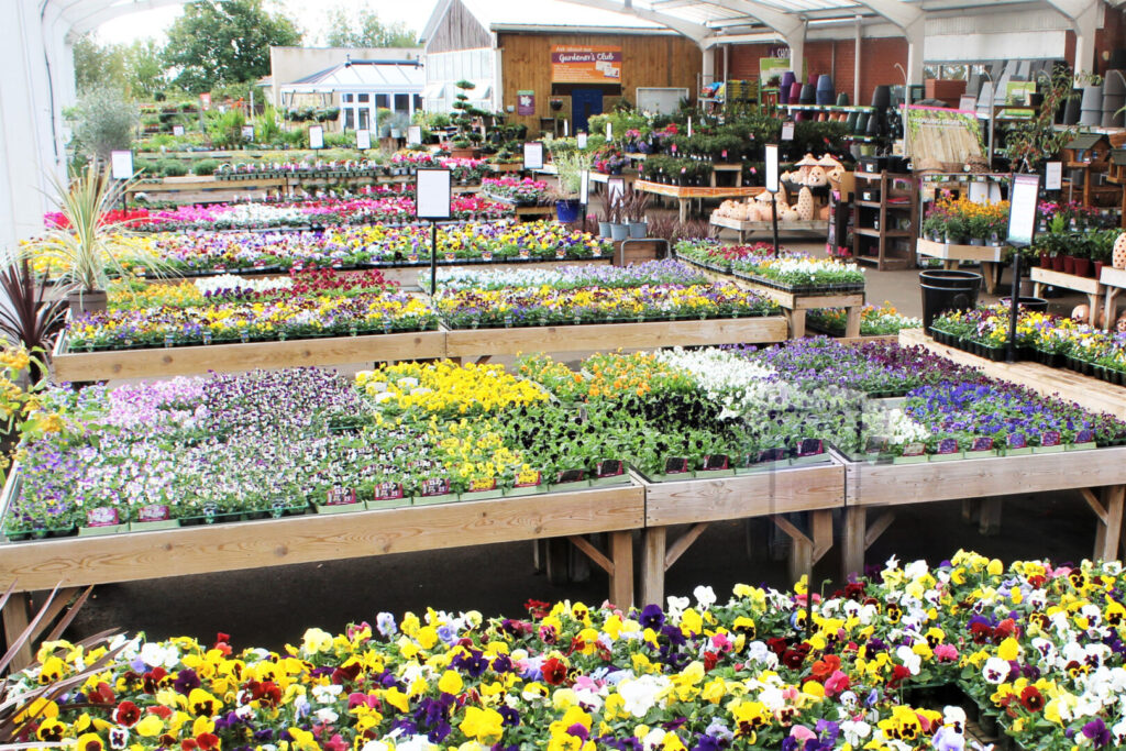 Chepstow Garden Centre retail