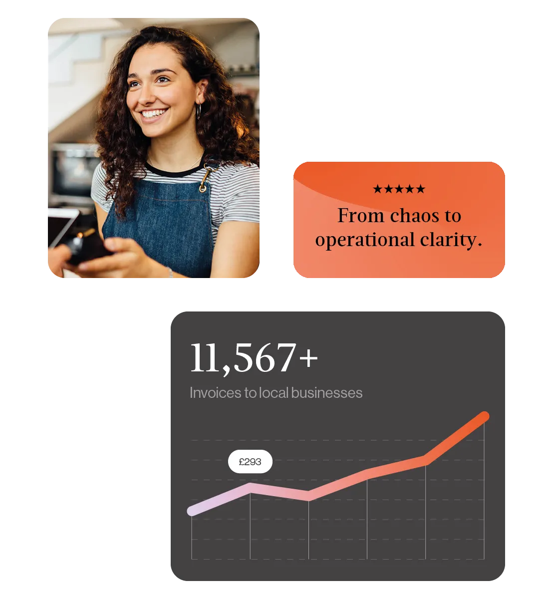 A customer testimonial reading “From chaos to operational clarity”, beside a chart showing 11,567+ invoices to local businesses